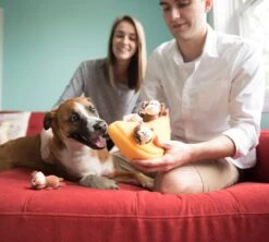 Zippy Burrow® – Monkey ‘n Banana -ZippyPaws Fun Outlet Store 4.23 ZippyPaws 1841 04 copy e1514310605795 1024x922 1