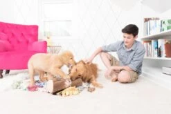 Zippy Burrow® Log With 3 Chipmunks -ZippyPaws Fun Outlet Store 4.23 ZippyPaws 3119 copy 1024x684 1