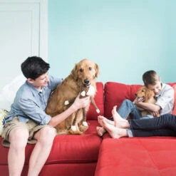 Spencer The Crinkle Monkey – Large Brown