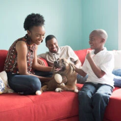 Spencer The Crinkle Monkey – XL Brown