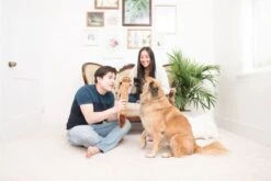 Jigglerz® – Chipmunk