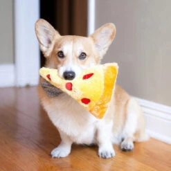 NomNomz® – Pizza Slice -ZippyPaws Fun Outlet Store Aquacorg Pizza