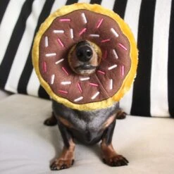 Donutz – Chocolate -ZippyPaws Fun Outlet Store IMG 5107 1024x1024 1