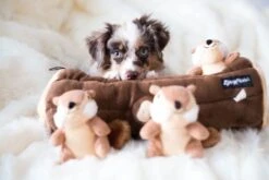 Zippy Burrow® Log With 3 Chipmunks -ZippyPaws Fun Outlet Store IMG 6169 copy 1024x683 1