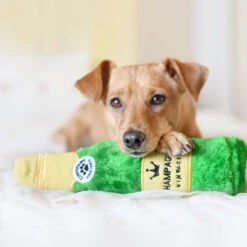 Happy Hour Crusherz – Champagne -ZippyPaws Fun Outlet Store Jack the MinPin 3