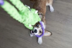 Monkey RopeTugz® – Green -ZippyPaws Fun Outlet Store Monkey Ropetugz Green 1024x683 1