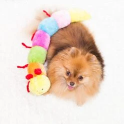 Caterpillar – Large With 7 Squeakers 6 Caterpillar – Large With 7 Squeakers -ZippyPaws Fun Outlet Store OH LITTLE DOG 8 copy 1024x1024 1