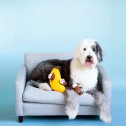 Zippy Burrow® – Monkey ‘n Banana -ZippyPaws Fun Outlet Store Olive square 1024x1024 1