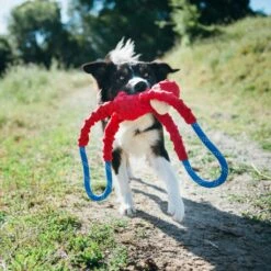 Monkey RopeTugz® – Red