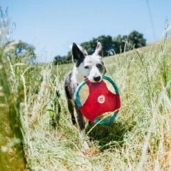 Rope Gliderz – Magenta -ZippyPaws Fun Outlet Store PLB4994 square 1 1024x1024 1