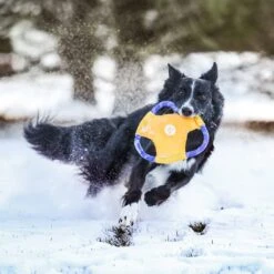 Rope Gliderz – Yellow -ZippyPaws Fun Outlet Store SS1 2386 square 1024x1024 1