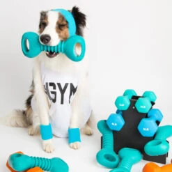 ZippyPaws Fun Outlet Store -ZippyPaws Fun Outlet Store TPR Geronimo Workout 1024x1024 1