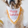 Birthday Bandana And Bone 2-Pack