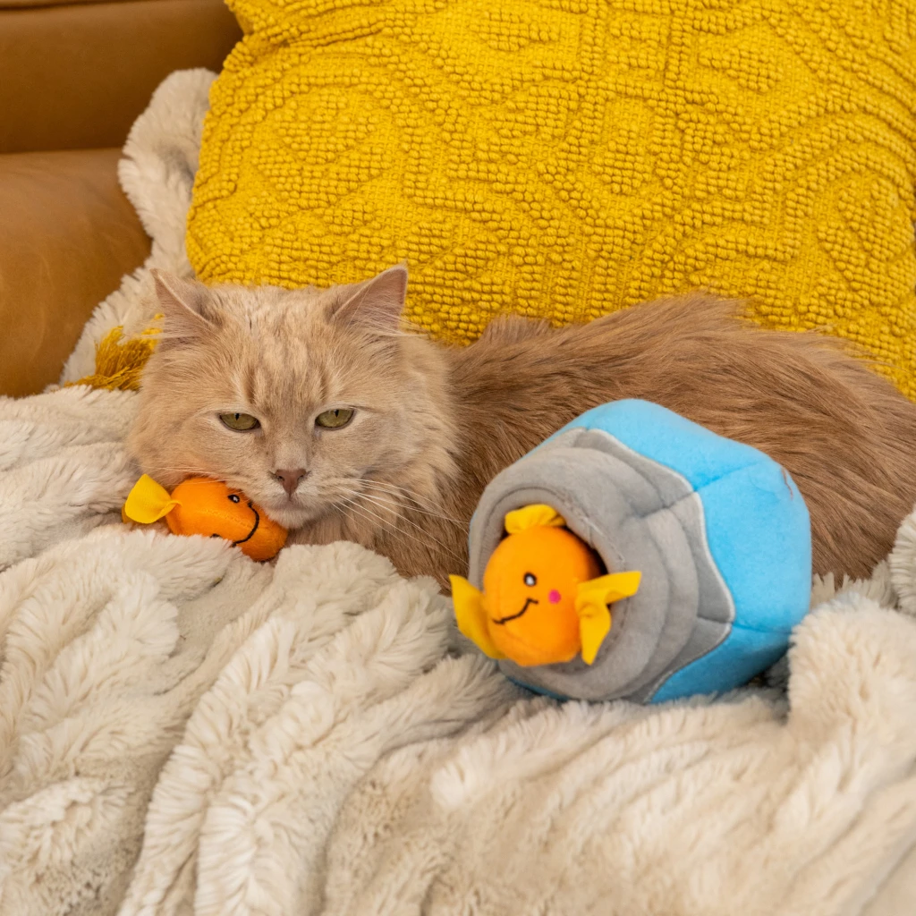 ZippyClaws® Burrow® – Fish In Bowl 1 ZippyClaws® Burrow® – Fish In Bowl