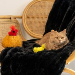 ZippyClaws® Burrow® – Birds In Nest