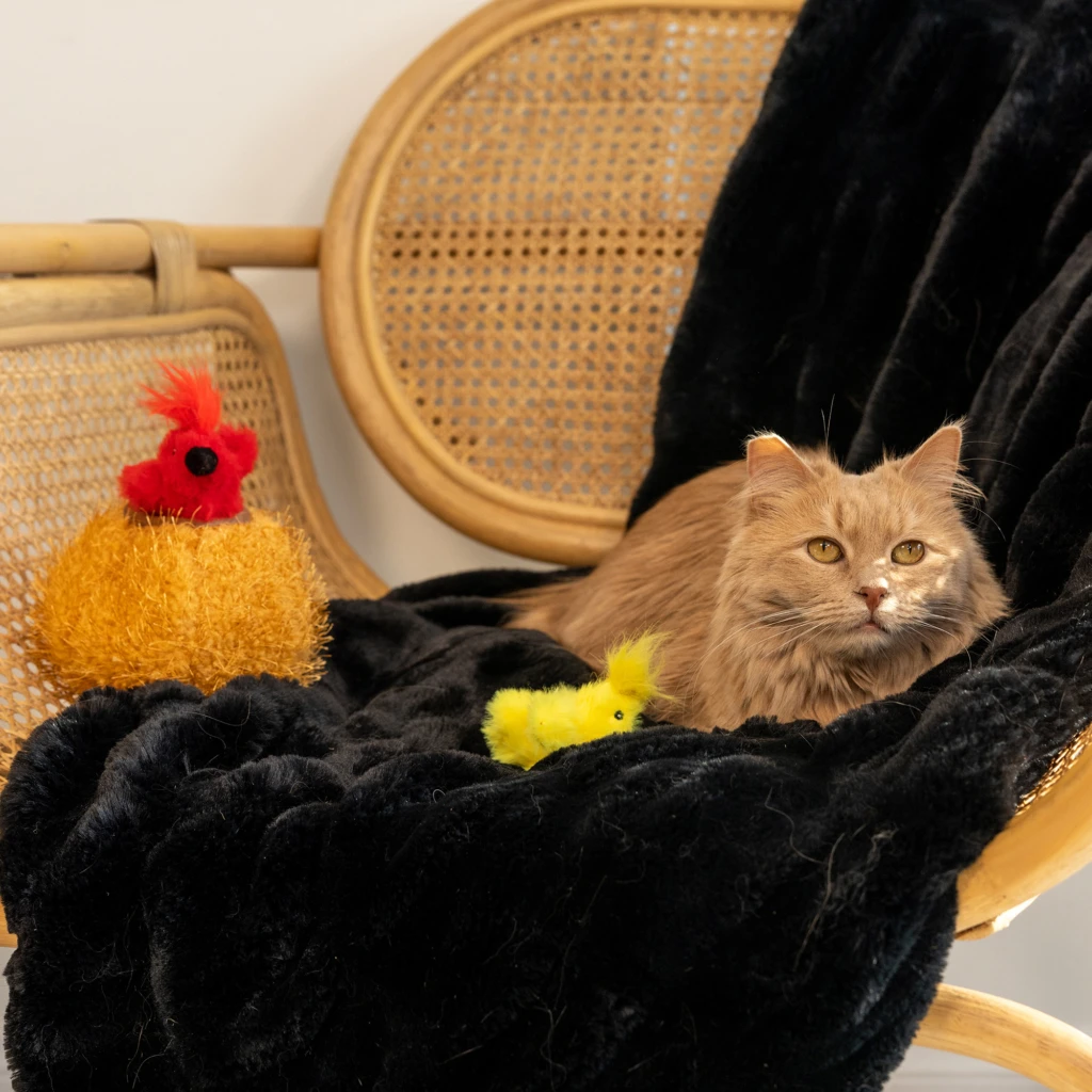 ZippyClaws® Burrow® – Birds In Nest 1 ZippyClaws® Burrow® – Birds In Nest