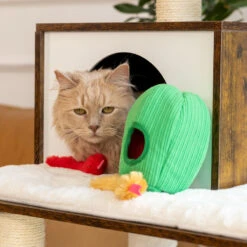 ZippyClaws® Burrow® – Snakes In Cactus