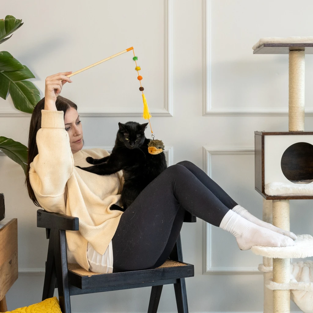 ZippyClaws® ZippyStick – Hedgehog 1 ZippyClaws® ZippyStick – Hedgehog