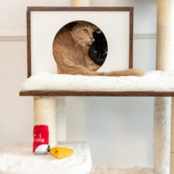 ZippyClaws® NomNomz® – Pizza And Cola