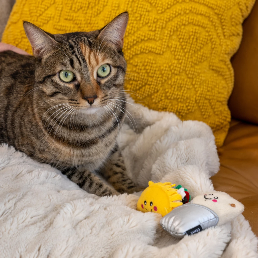 ZippyClaws® NomNomz® – Taco And Burrito 1 ZippyClaws® NomNomz® – Taco And Burrito