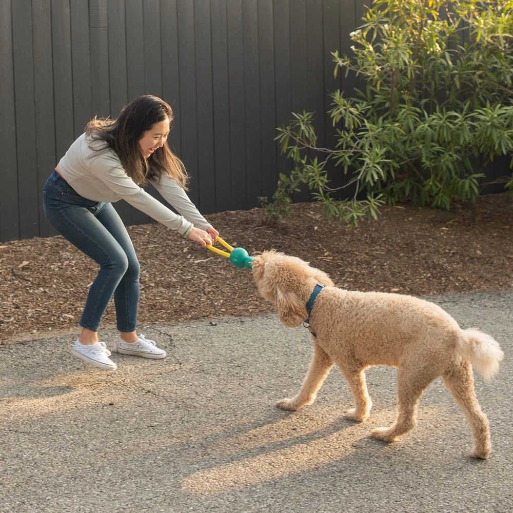 ZippyTuff Monkey RopeTugz® – Teal 2 ZippyTuff Monkey RopeTugz® – Teal - Image 2