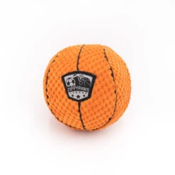 SportsBallz – Basketball