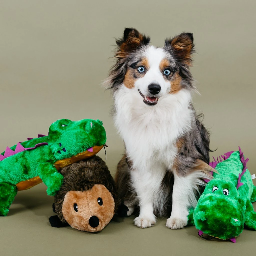 Hedgehog – Large 1 Hedgehog – Large