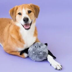 Halloween Brainey – Bat