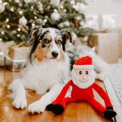 Holiday Crinkle – Santa Small -ZippyPaws Fun Outlet Store bolt the aussie