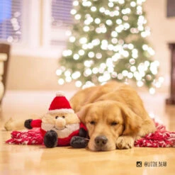 Holiday Brainey – Santa -ZippyPaws Fun Outlet Store brainey santa lizzie.bear