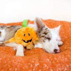 Halloween Brainey – Pumpkin