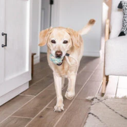 EcoZippy Cotton And Jute Ball