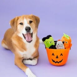Halloween Squeakie Buddies – Pack Of 3 8 Halloween Squeakie Buddies – Pack Of 3 -ZippyPaws Fun Outlet Store halloweenbuddies 1 1024x1024 1