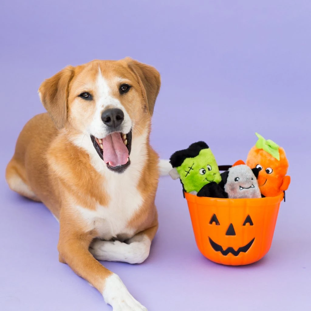 Halloween Squeakie Buddies – Pack Of 3 4 Halloween Squeakie Buddies – Pack Of 3 - Image 4