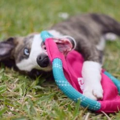 Rope Gliderz – Magenta -ZippyPaws Fun Outlet Store image2 1 square 1024x1024 1