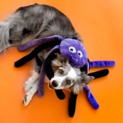 ZippyPaws Fun Outlet Store -ZippyPaws Fun Outlet Store purplespider2 1024x1024 1