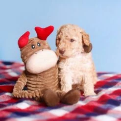 Holiday Crinkle – Reindeer Small -ZippyPaws Fun Outlet Store smallcrunklereindeer 1024x1024 1