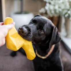 ZippyTuff+ Lightning Bolt