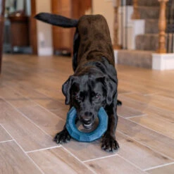 ZippyTuff+ Emerald Ring