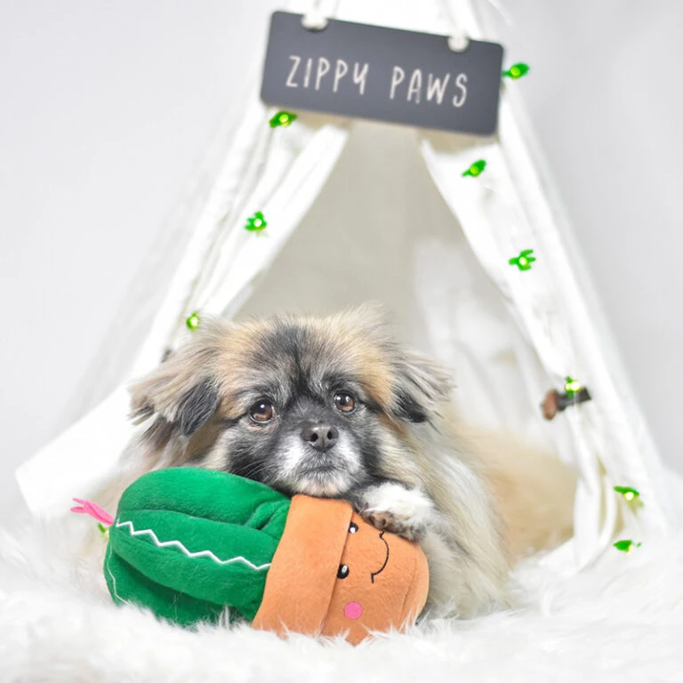 ZippyPaws Fun Outlet Store -ZippyPaws Fun Outlet Store 1